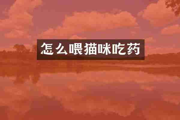 怎么喂猫咪吃药