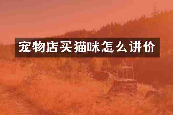 宠物店买猫咪怎么讲价