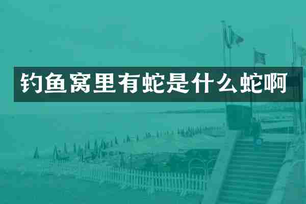 钓鱼窝里有蛇是什么蛇啊