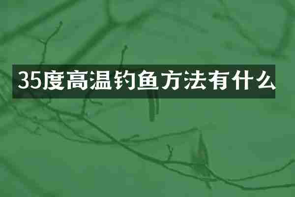 35度高温钓鱼方法有什么