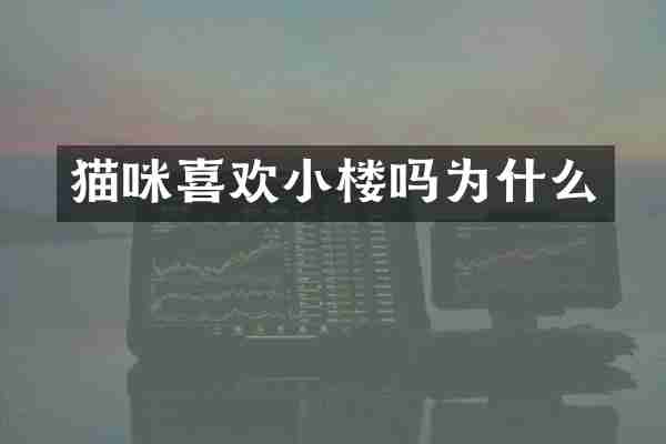 猫咪喜欢小楼吗为什么