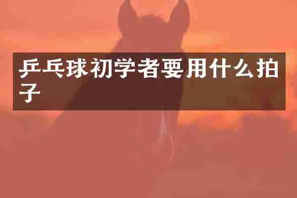 乒乓球初学者要用什么拍子