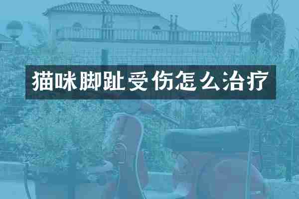 猫咪脚趾受伤怎么治疗