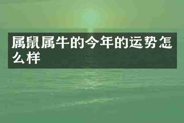 属鼠属牛的今年的运势怎么样
