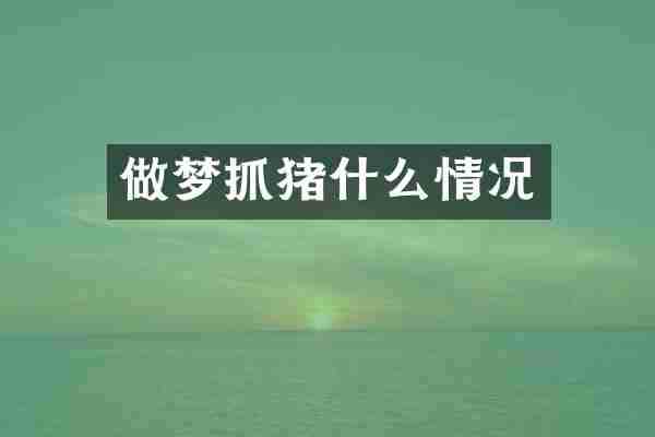 做梦抓猪什么情况