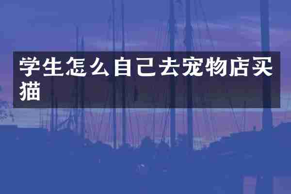 学生怎么自己去宠物店买猫