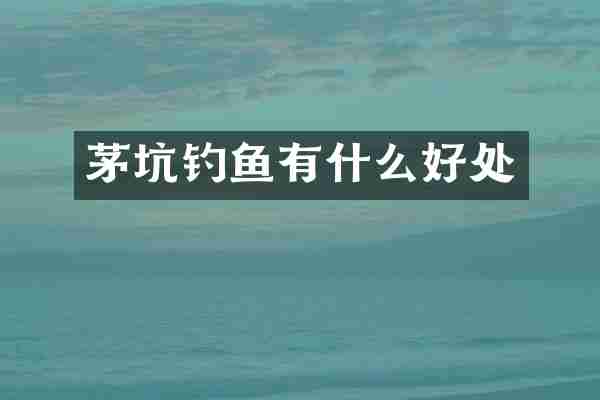 茅坑钓鱼有什么好处