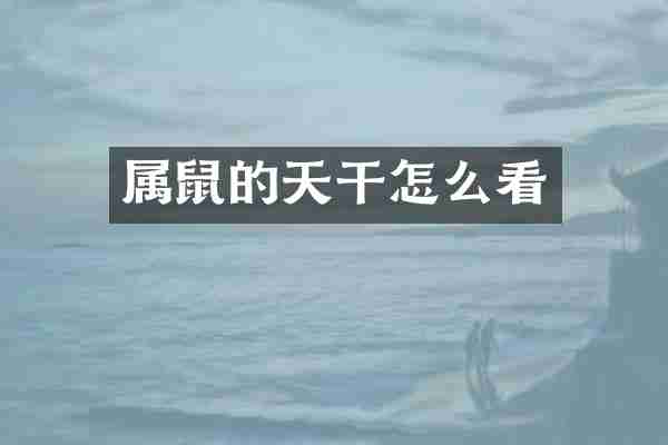 属鼠的天干怎么看