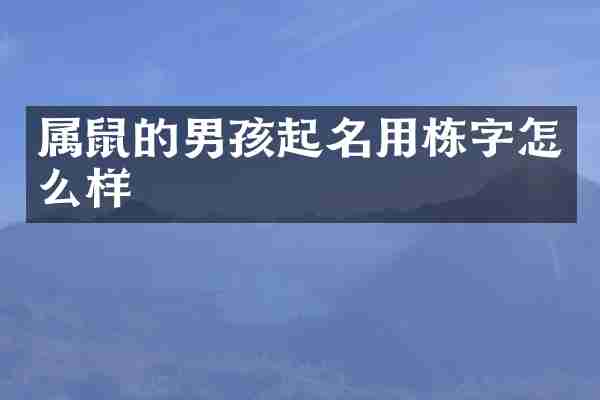 属鼠的男孩起名用栋字怎么样