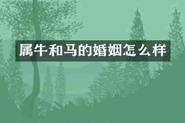 属牛和马的婚姻怎么样