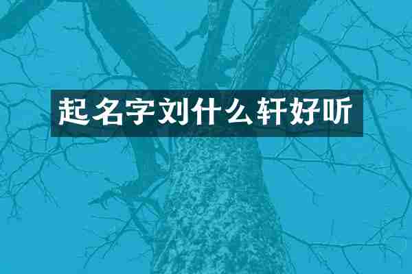起名字刘什么轩好听