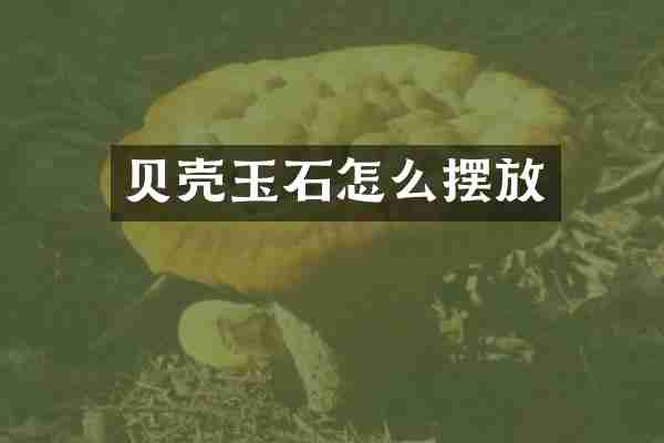 贝壳玉石怎么摆放