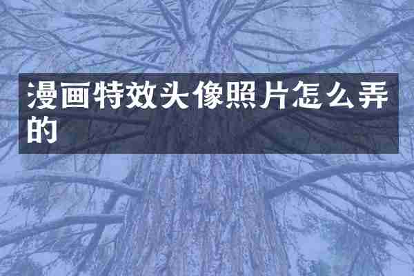 漫画特效头像照片怎么弄的