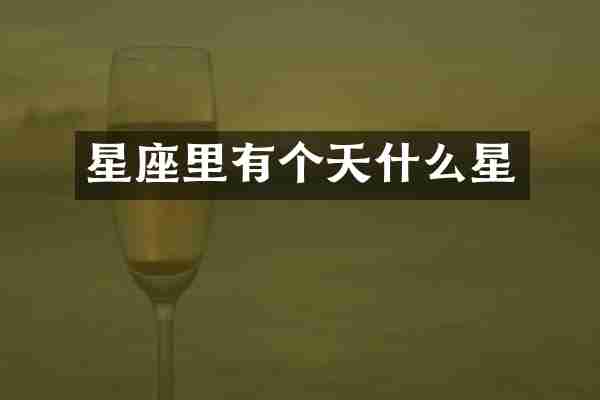 星座里有个天什么星