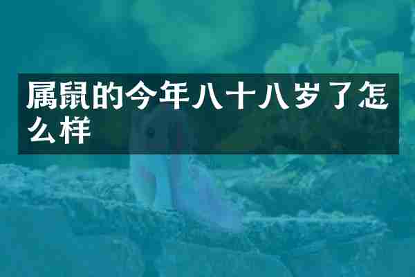 属鼠的今年八十八岁了怎么样