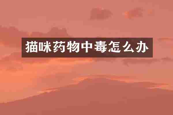 猫咪药物中毒怎么办