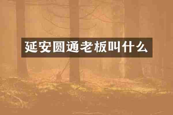 延安圆通老板叫什么