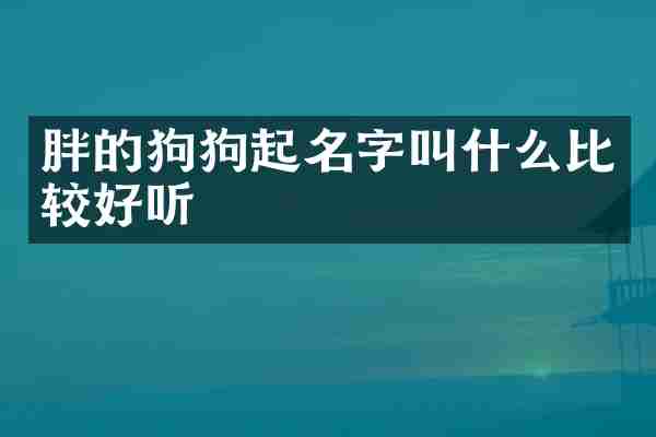 胖的狗狗起名字叫什么比较好听