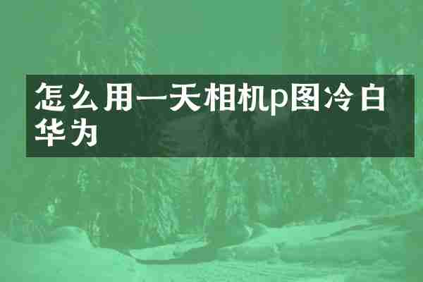 怎么用一天相机p图冷白皮华为