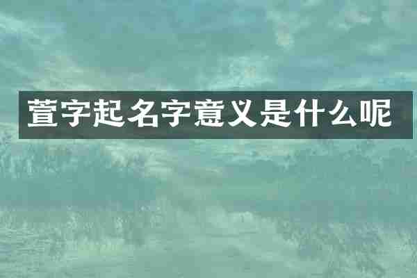 萱字起名字意义是什么呢