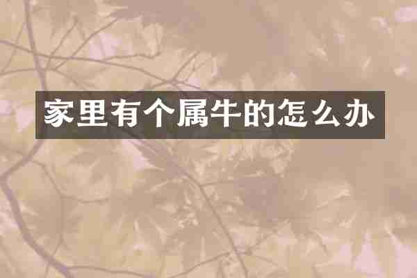 家里有个属牛的怎么办