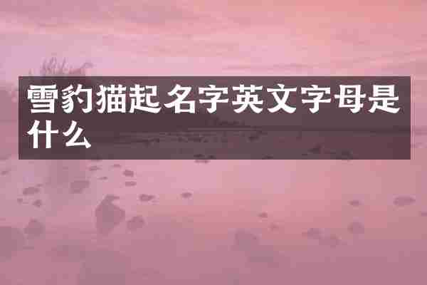 雪豹猫起名字英文字母是什么