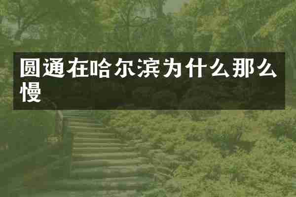 圆通在哈尔滨为什么那么慢