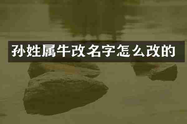 孙姓属牛改名字怎么改的