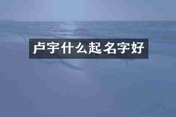 卢宇什么起名字好