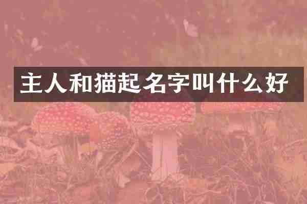 主人和猫起名字叫什么好