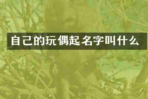 自己的玩偶起名字叫什么