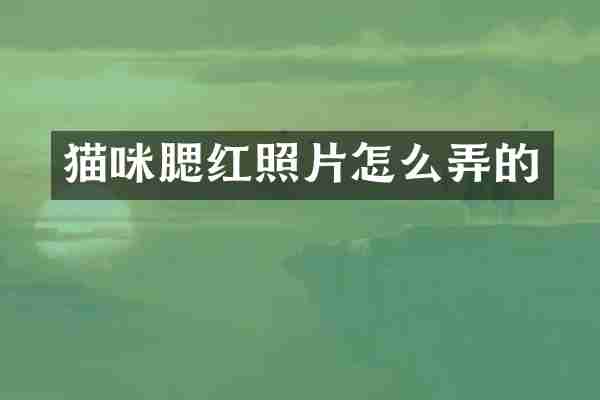猫咪腮红照片怎么弄的