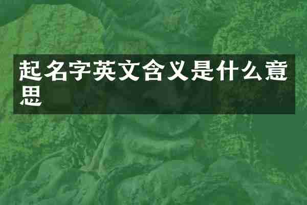 起名字英文含义是什么意思