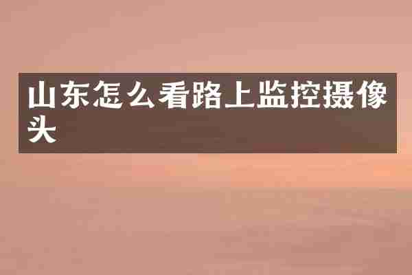 山东怎么看路上监控摄像头