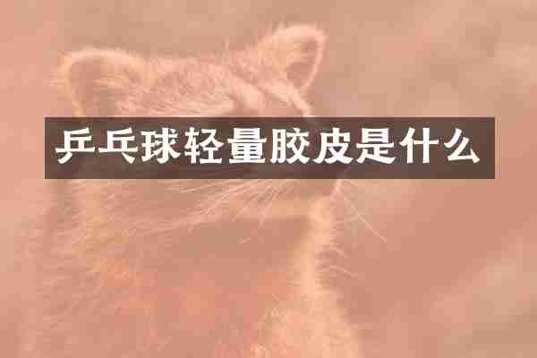 乒乓球轻量胶皮是什么