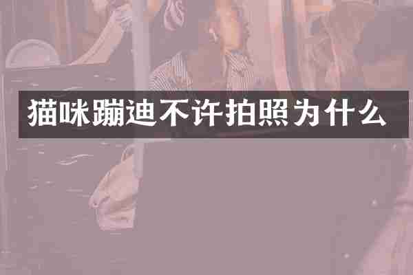 猫咪蹦迪不许拍照为什么