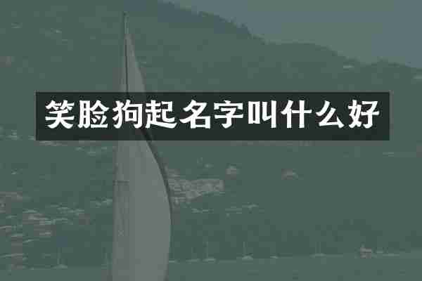 笑脸狗起名字叫什么好