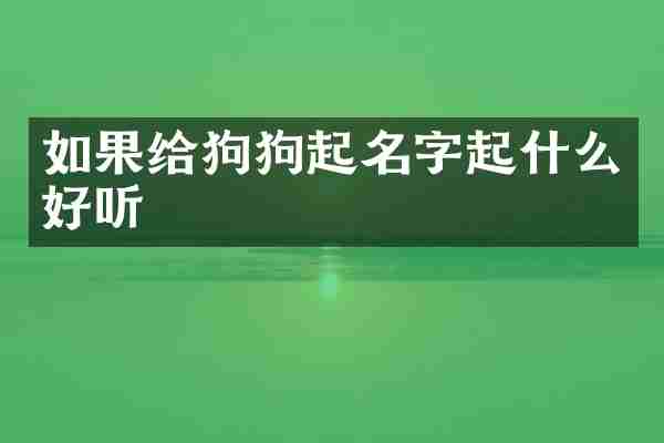 如果给狗狗起名字起什么好听