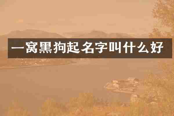 一窝黑狗起名字叫什么好