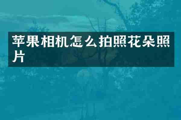 苹果相机怎么拍照花朵照片