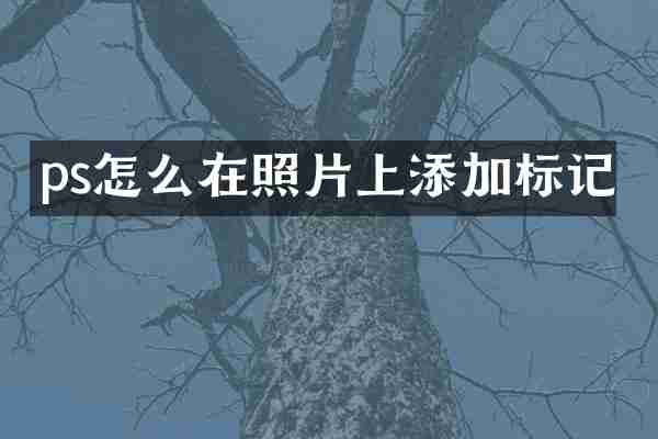 ps怎么在照片上添加标记