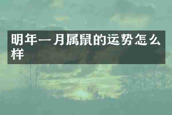 明年一月属鼠的运势怎么样