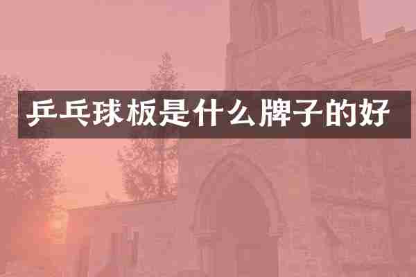乒乓球板是什么牌子的好