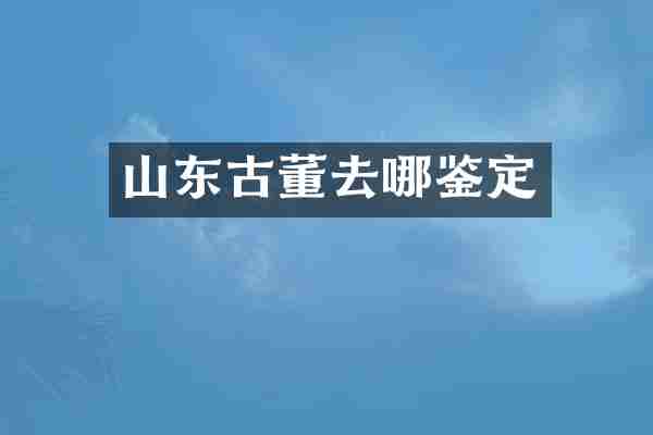 山东古董去哪鉴定