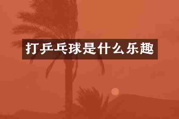 打乒乓球是什么乐趣