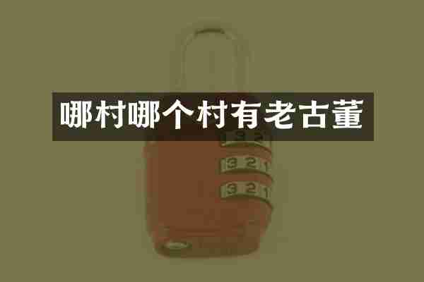哪村哪个村有老古董