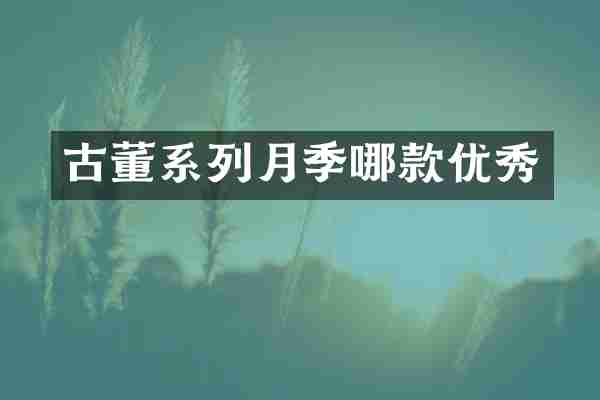 古董系列月季哪款优秀