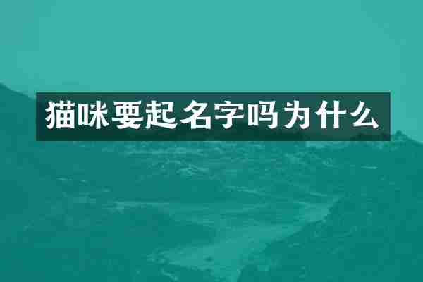 猫咪要起名字吗为什么
