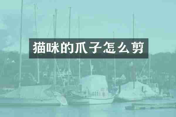 猫咪的爪子怎么剪