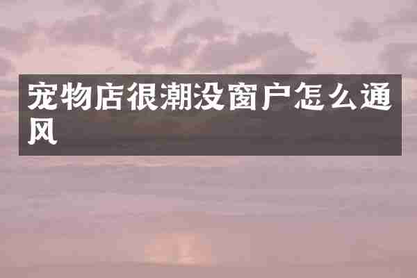 宠物店很潮没窗户怎么通风